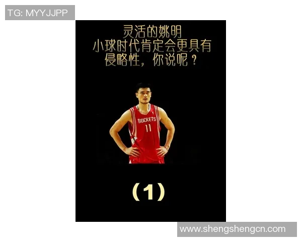 姚明壁的传奇人生与篮球梦想的交织探索